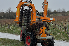 Vorschneiden 3